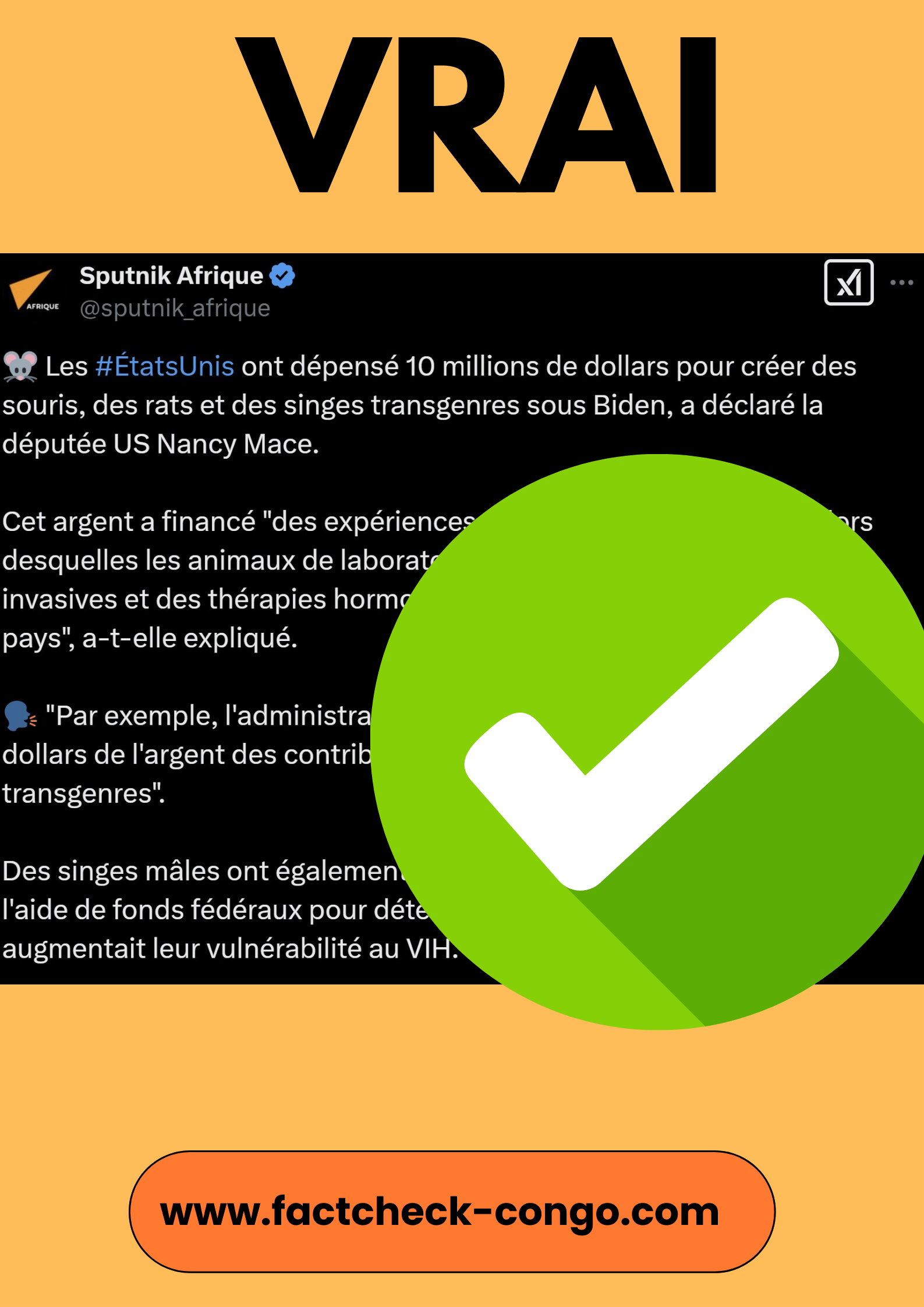 Les États-Unis d’Amérique ont-ils vraiment dépensé 10 millions de dollars US pour créer des souris et rats transgenres sous Biden ? Vrai