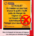 Non, le hoquet ne tue pas et l’oignon cru n’est pas un remède miracle!