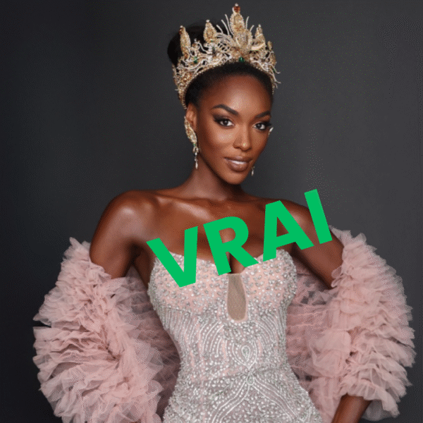 Vrai, Raul Rocha a bien affirmé qu’Olivia Yacé…