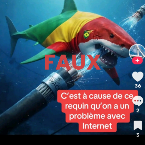 Faux, aucun requin n’a « mangé » le câble internet…
