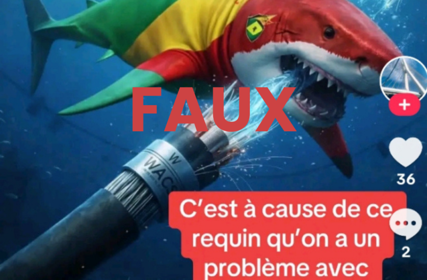 Faux, aucun requin n’a « mangé » le câble internet…