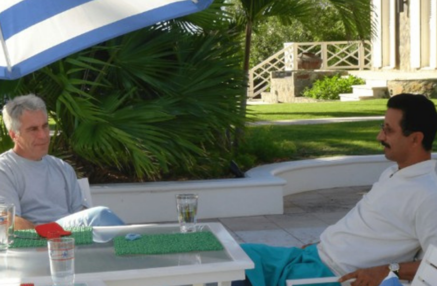 Vrai, le patron de DP World, Sultan Ahmed Bin Sulayem a bien eu des contacts avec Jeffrey Epstein